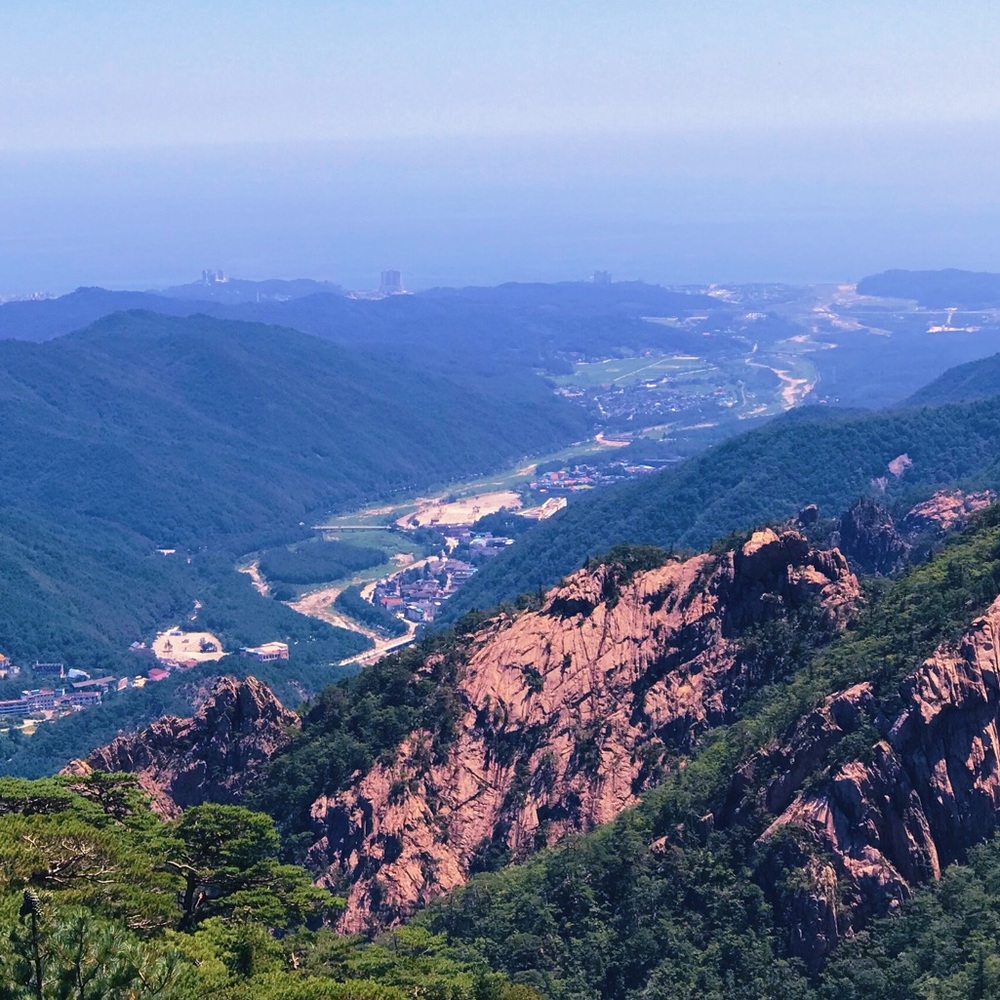 Meet your Posher, Elisabeth